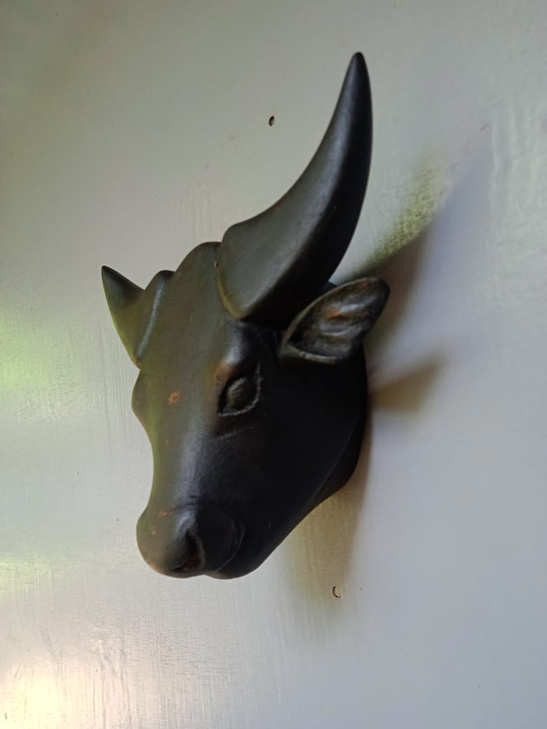 Naga Cow Head Wall Décor (Gamari Wood)