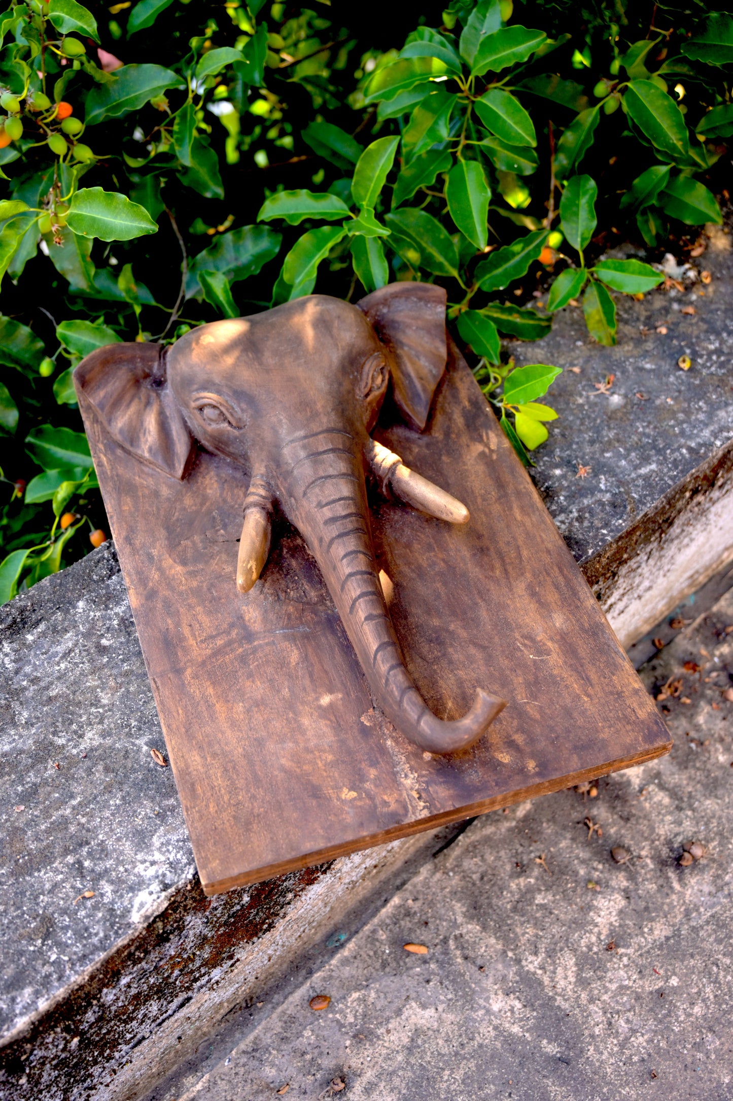 Exotic Naga Gamari Wood Elephant Panel (M)