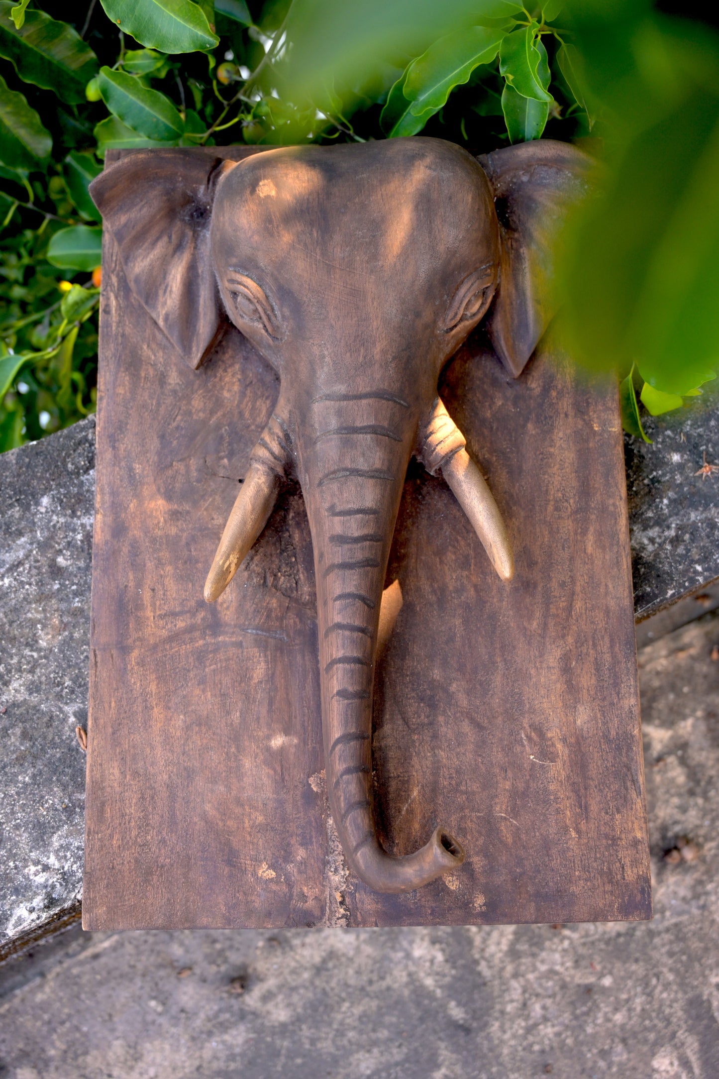 Exotic Naga Gamari Wood Elephant Panel (M)